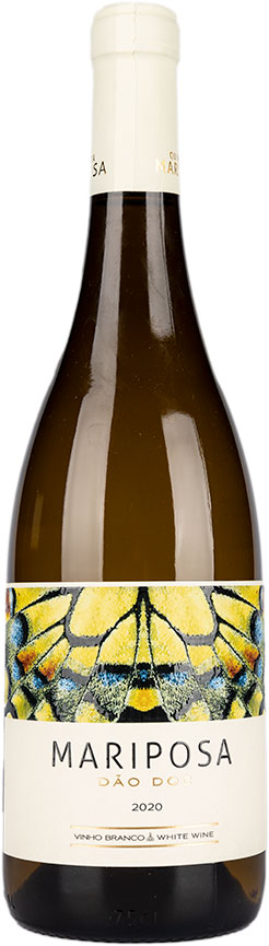 Quinta da Mariposa-Mariposa Branco
