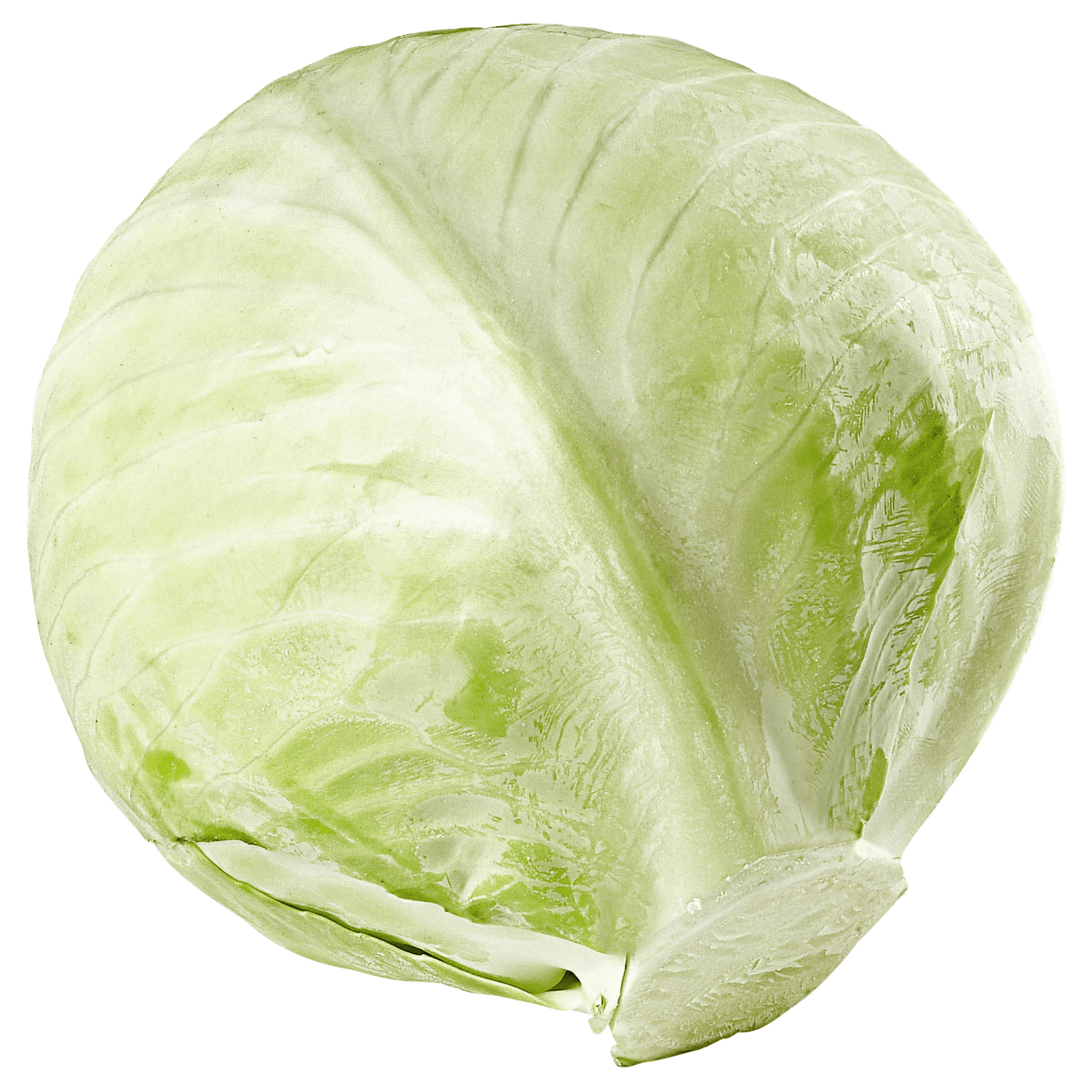 REWE Bio Weisskohl 1 Stück