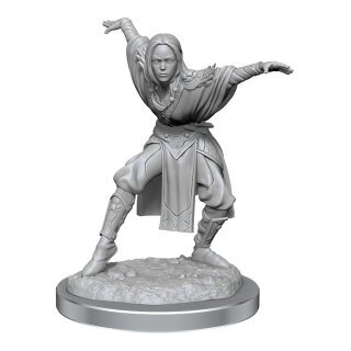 Pathfinder Battles Deep Cuts Miniaturen: Half-Elf Monk Female (unpainted) (2)