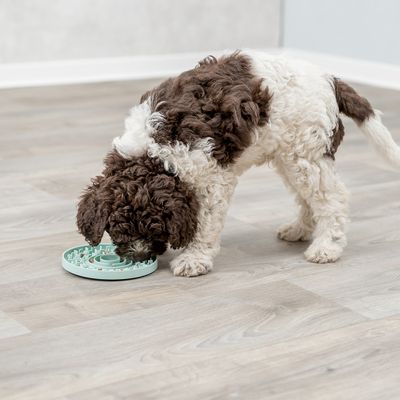 Trixie Junior Lick'n'Snack Schleckplatte