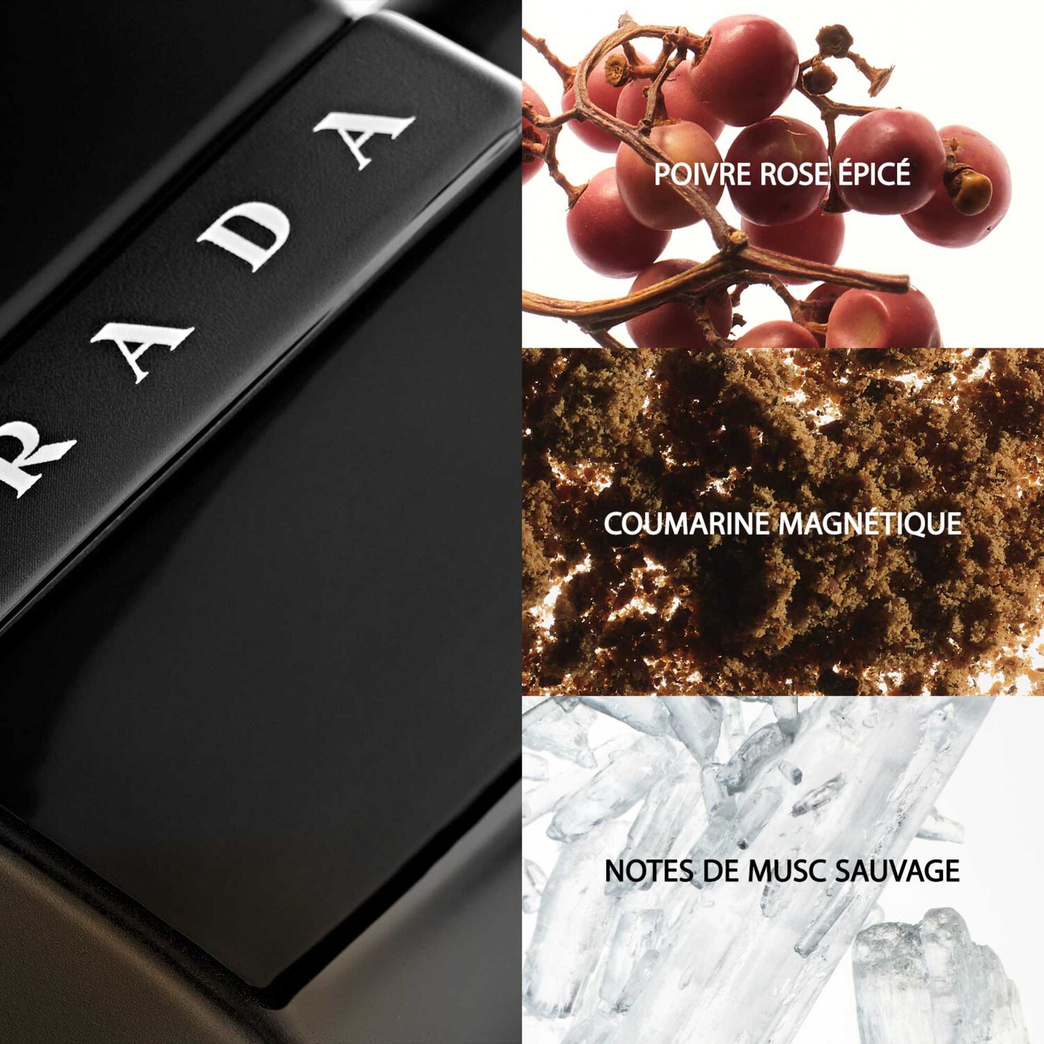 Prada Luna Rossa Black Eau de Parfum