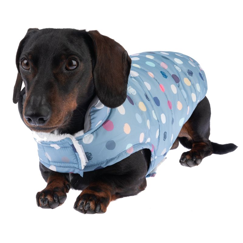 TIAKI Hundemantel Comfy Dots zu TOP-Preisen