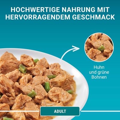 PURINA ONE Adult