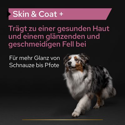 PRO PLAN Dog Adult Skin and Coat Supplement Öl