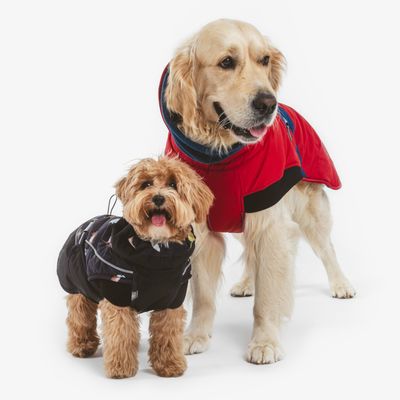 Nomad Tales Bloom Hundemantel Midnight