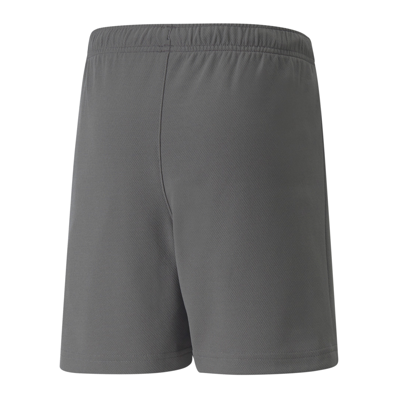 PUMA teamRISE Short Kids Grau Weiss F13