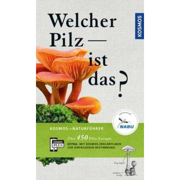 Welcher Pilz ist das? - Ratgeber