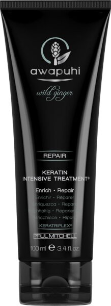 Paul Mitchell Awapuhi Wild Ginger Keratin Intensive Treatment Haarkur