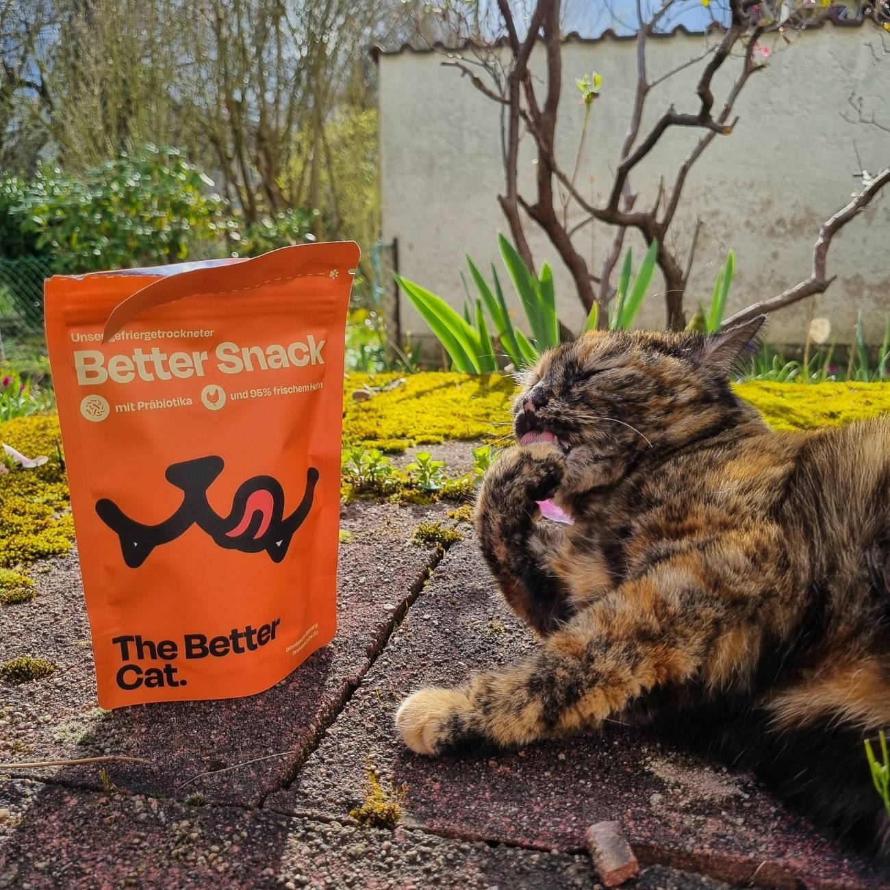 The Better Cat Trockenfutter The Better Cat Gefriergetrockneter Snack - Huhn 50g