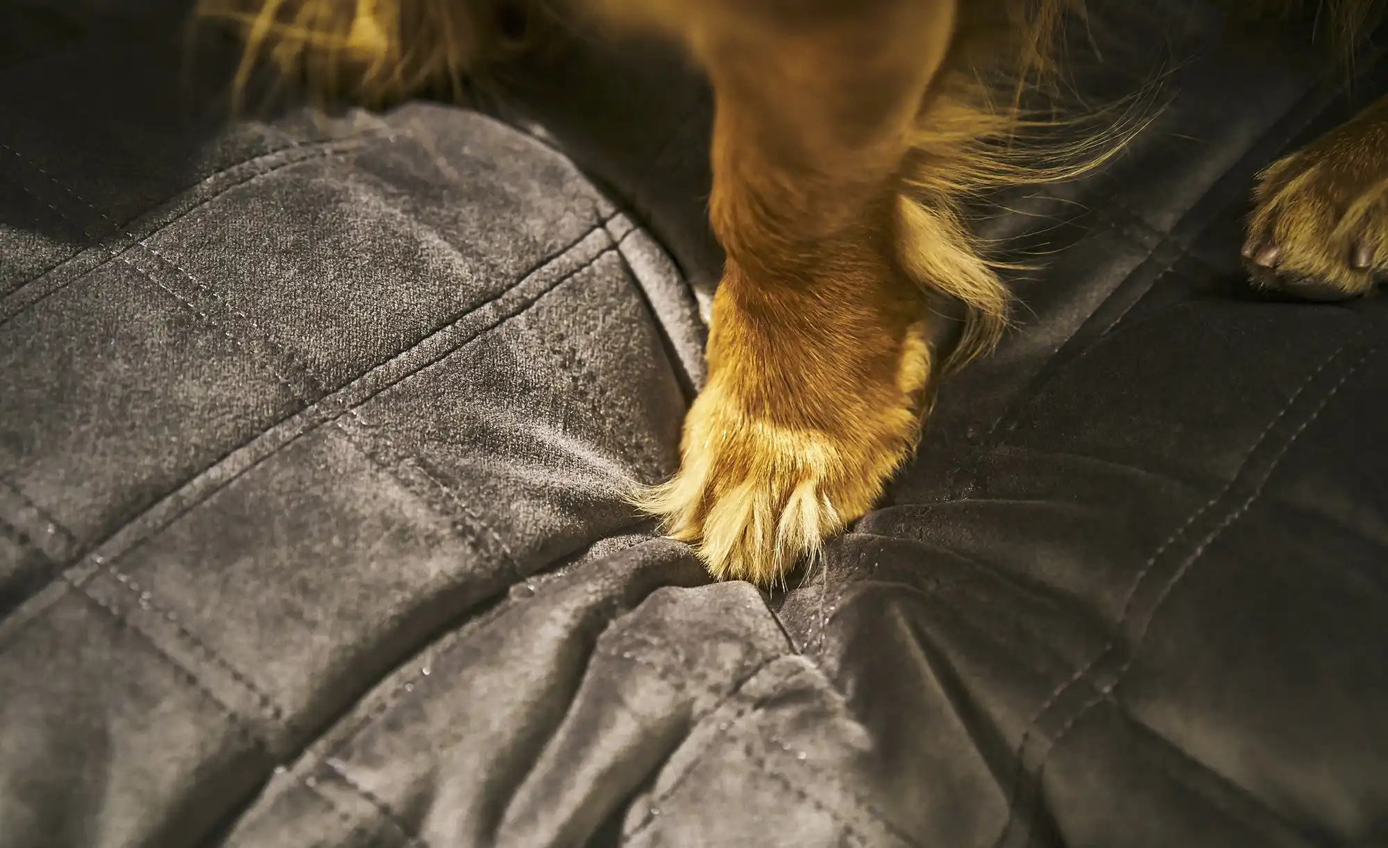 LABONI Hundebett Samt Classic