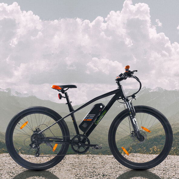 E-Racing Mountainbike R6 Neo V2, 26