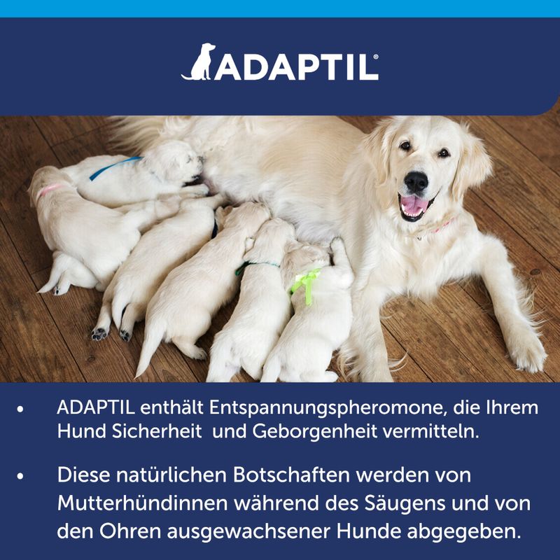 ADAPTIL Calm Halsband für Hunde zu TOP-Preisen