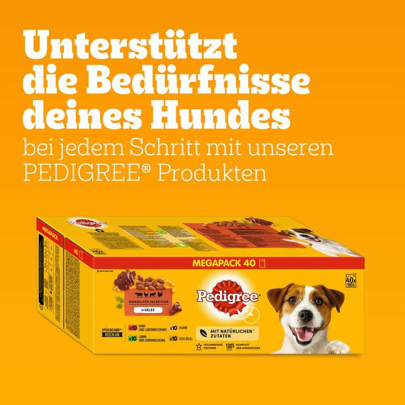 Pedigree Frischebeutel in Gelee