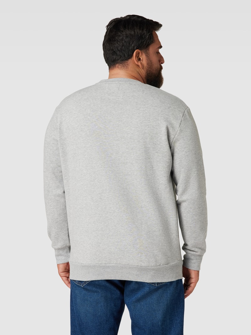 PLUS SIZE Sweatshirt mit Label-Print in hellgrau meliert