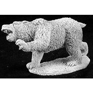 Dire Bear (REA02878)
