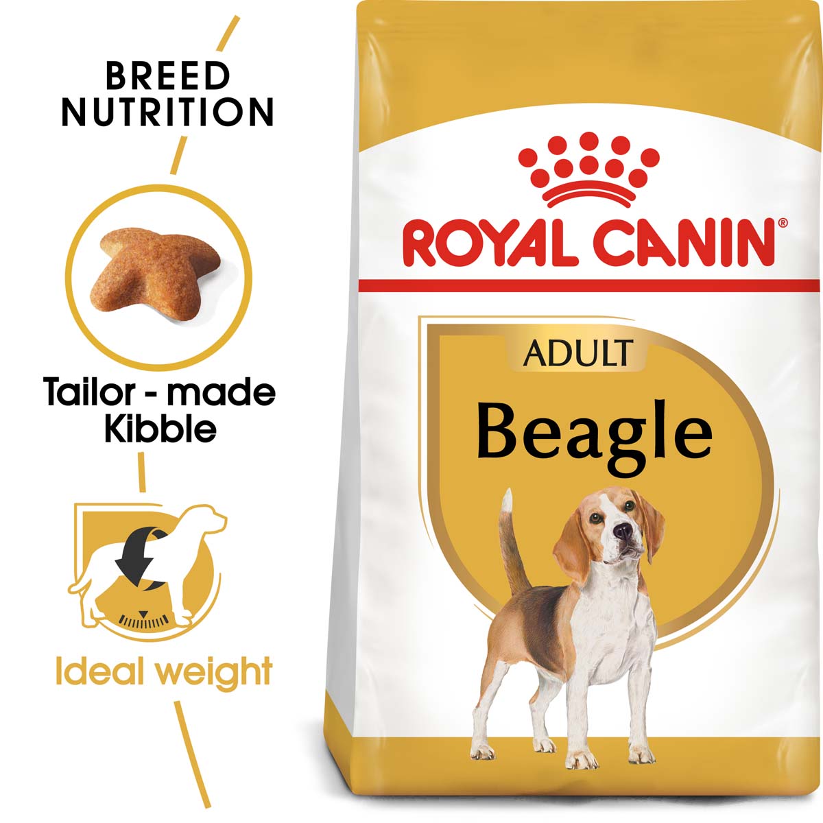 ROYAL CANIN Beagle Adult Hundefutter trocken kaufen bei ZooRoyal