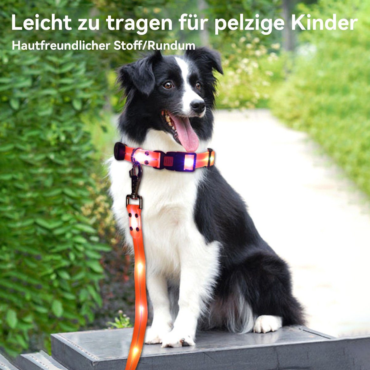 Hikeren Führleine Led-Leine, USB stark und verschleißfest Wasserdichtes Halsband