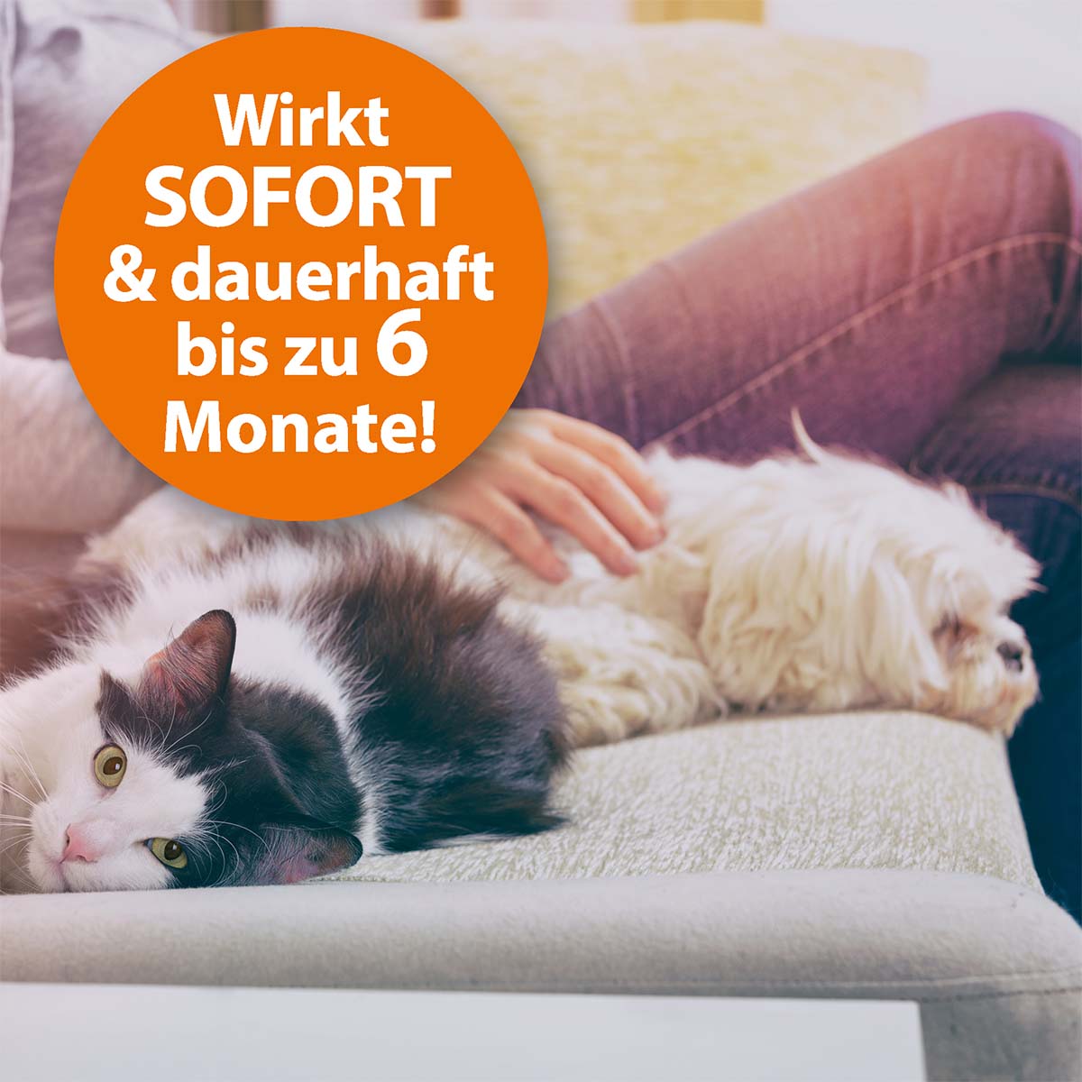ARDAP Fogger - Ungeziefervernebler günstig kaufen bei ZooRoyal