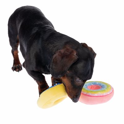 Hundespielzeug Squeaky Donuts Set