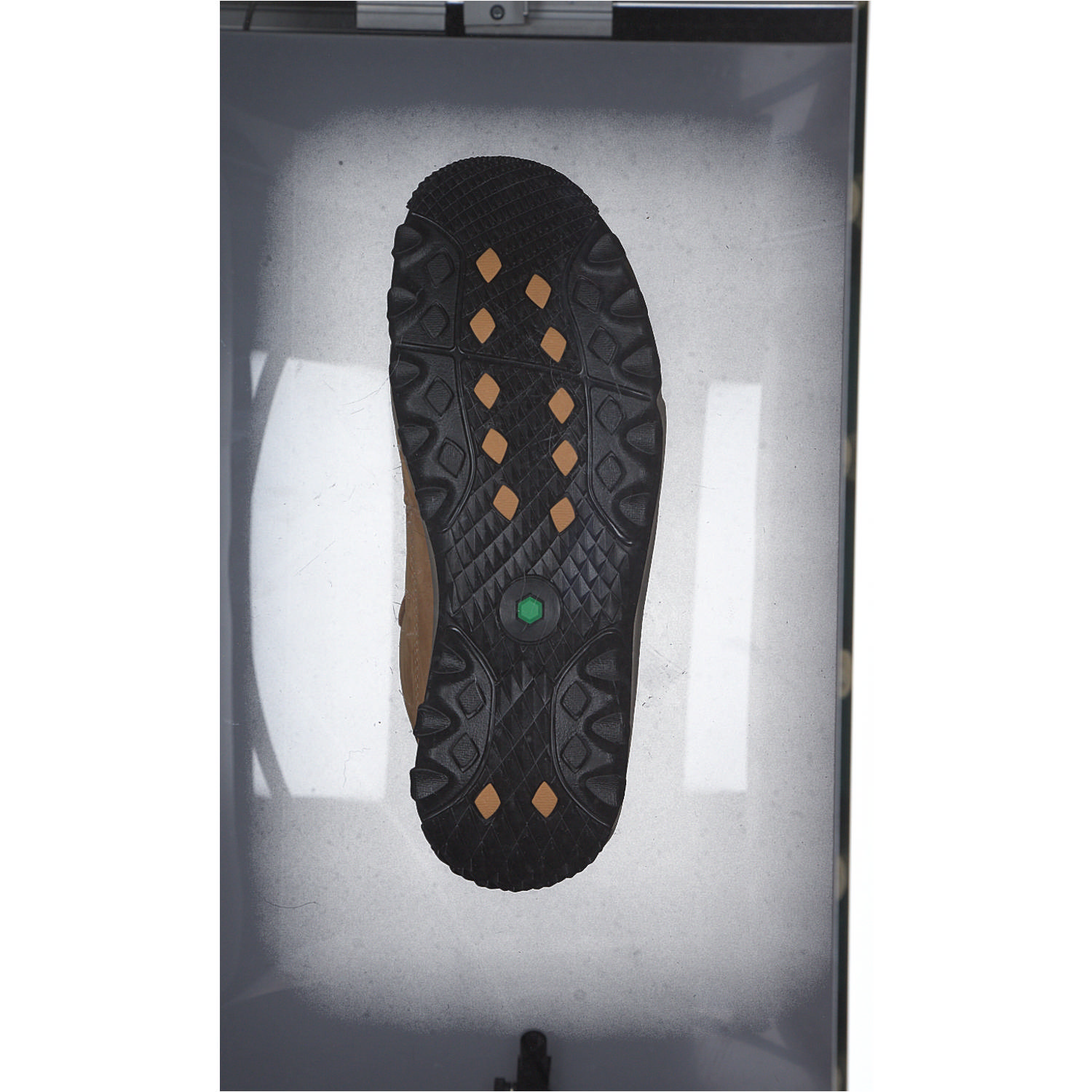 Timberland Rime Ridge Mid, Wanderschuhe, Herren, Braun