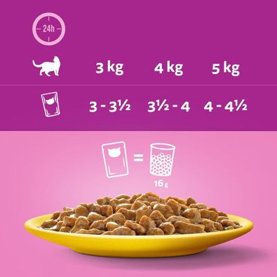 Megapack Whiskas 1+ Adult Frischebeutel 48 x 85 g