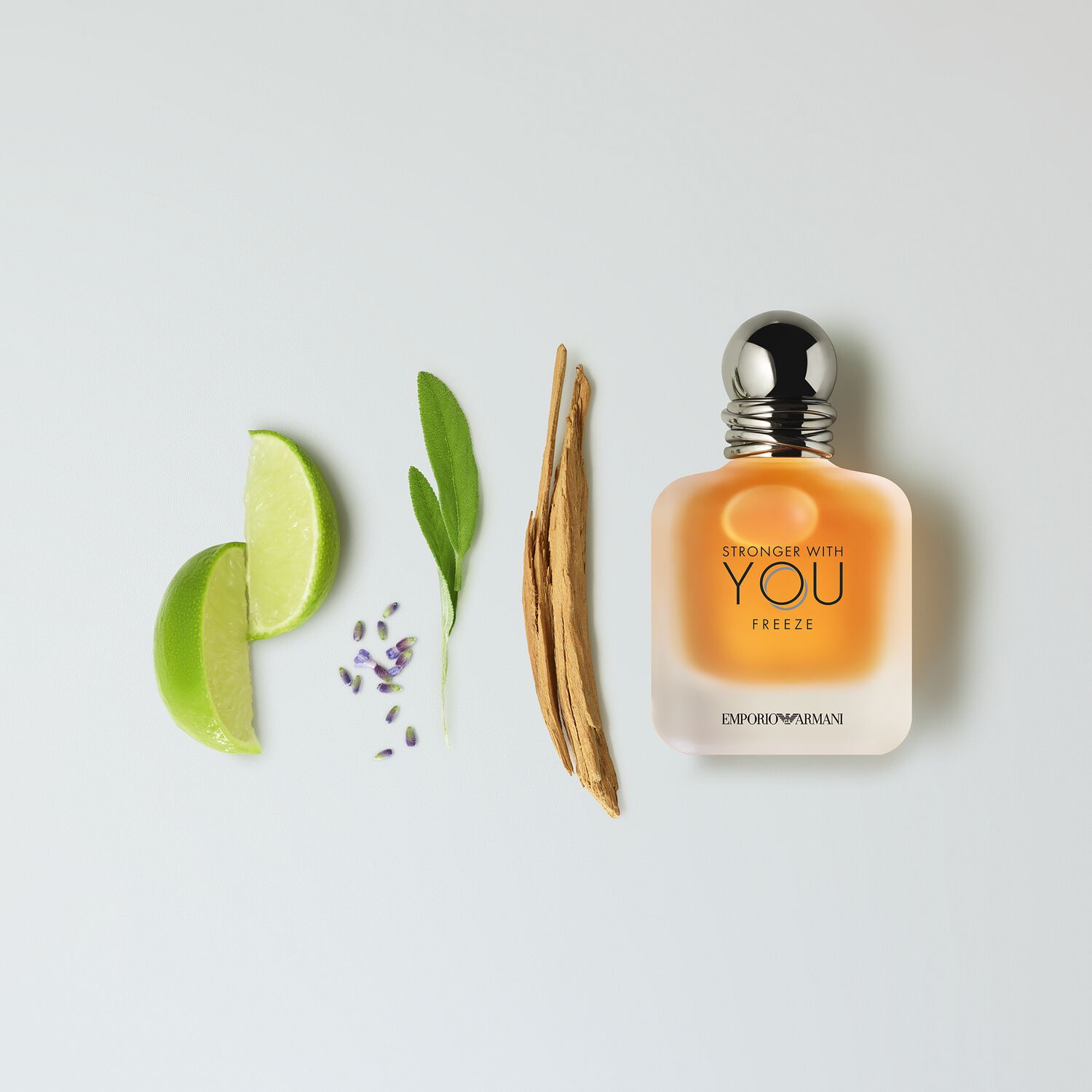 Giorgio Armani Stronger With You Freeze Eau de Toilette