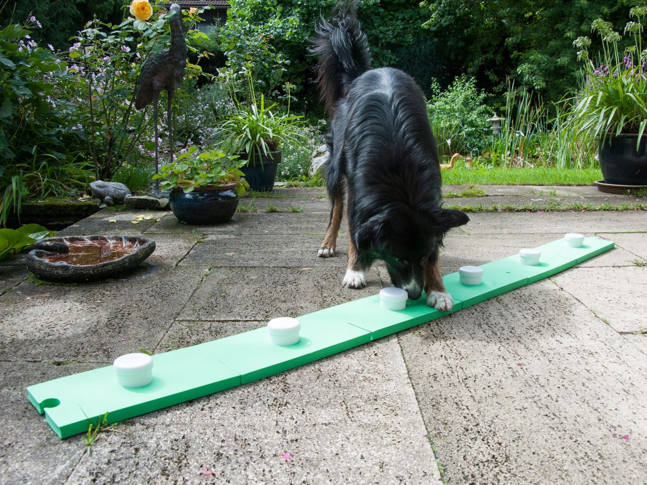 Lemodo Lemodo Schnüffelspaß für Hunde, grün
