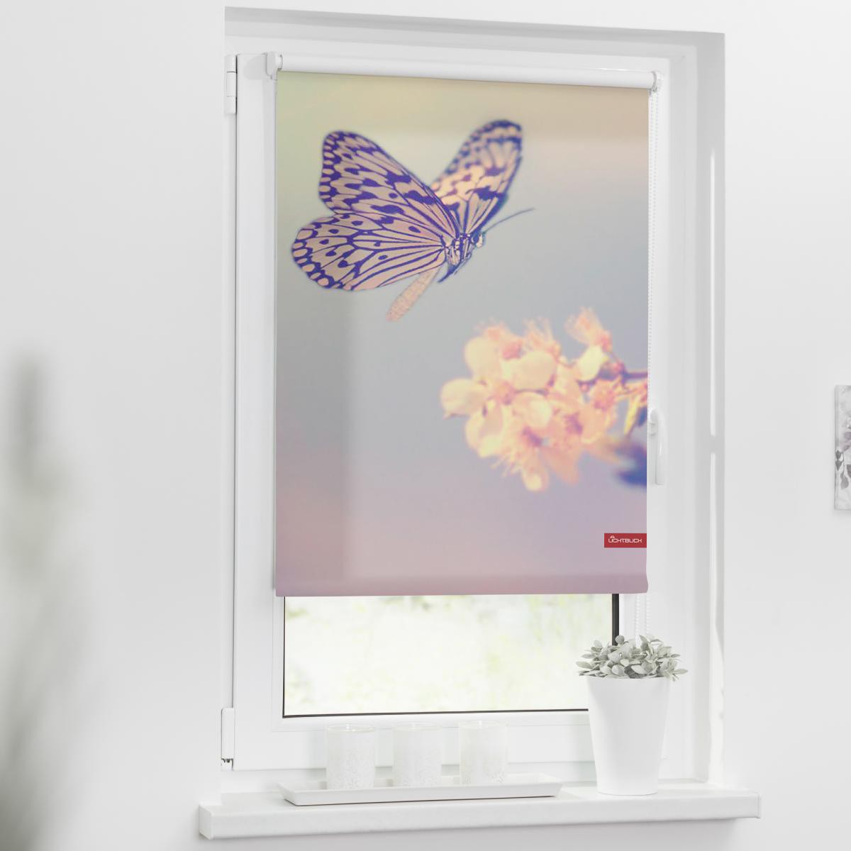 Lichtblick Rollo Klemmfix, ohne Bohren, blickdicht, Schmetterling - Rosa, 100 x 150 cm (B x L)
