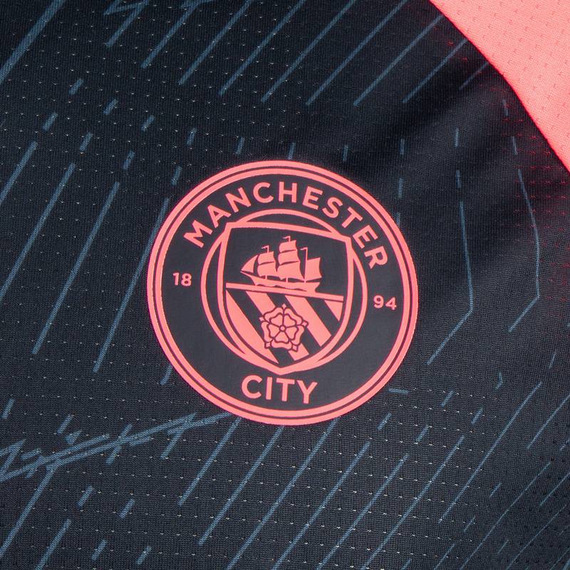 PUMA Manchester City Pre-Match Trikot Herren