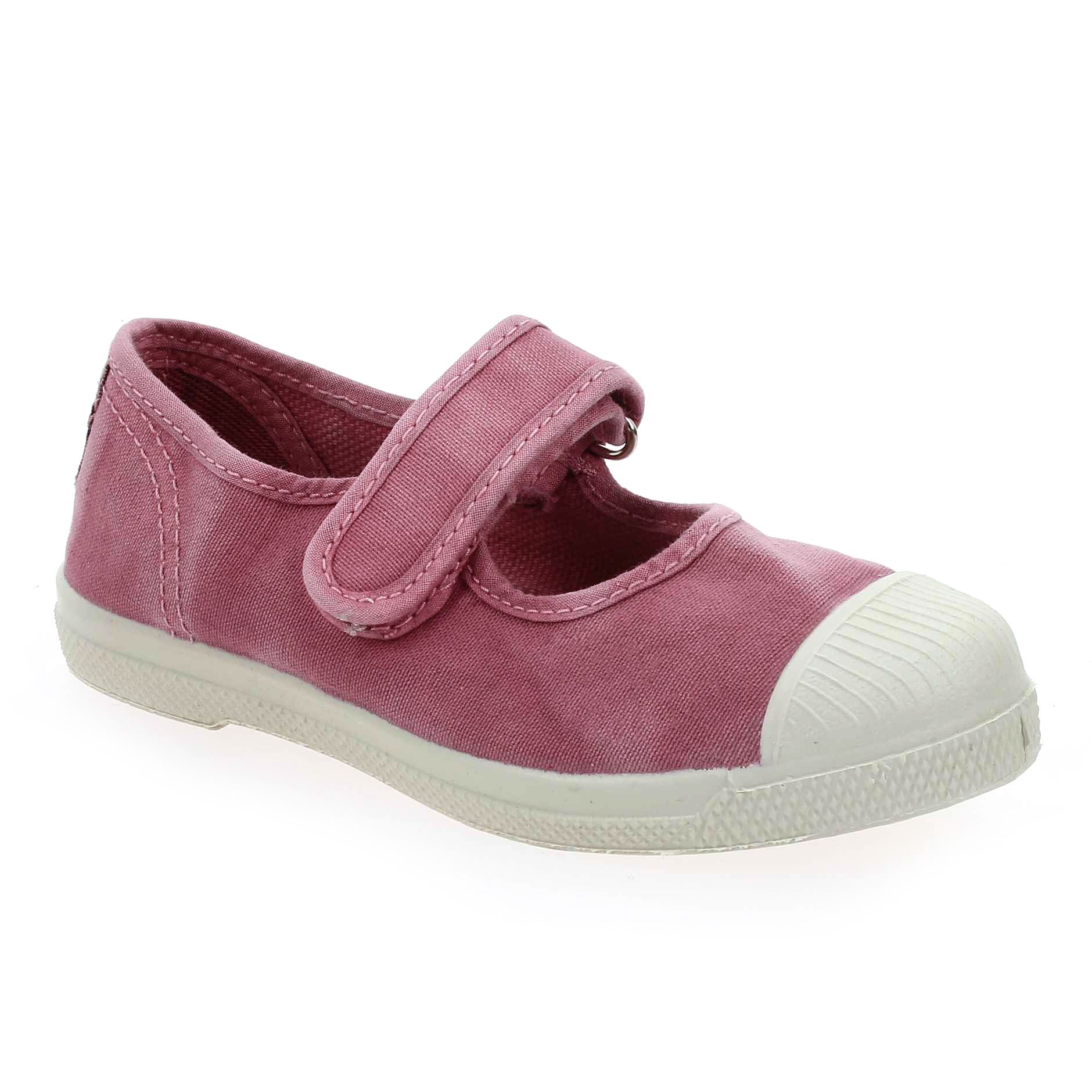 Natural world  476 E - Rose