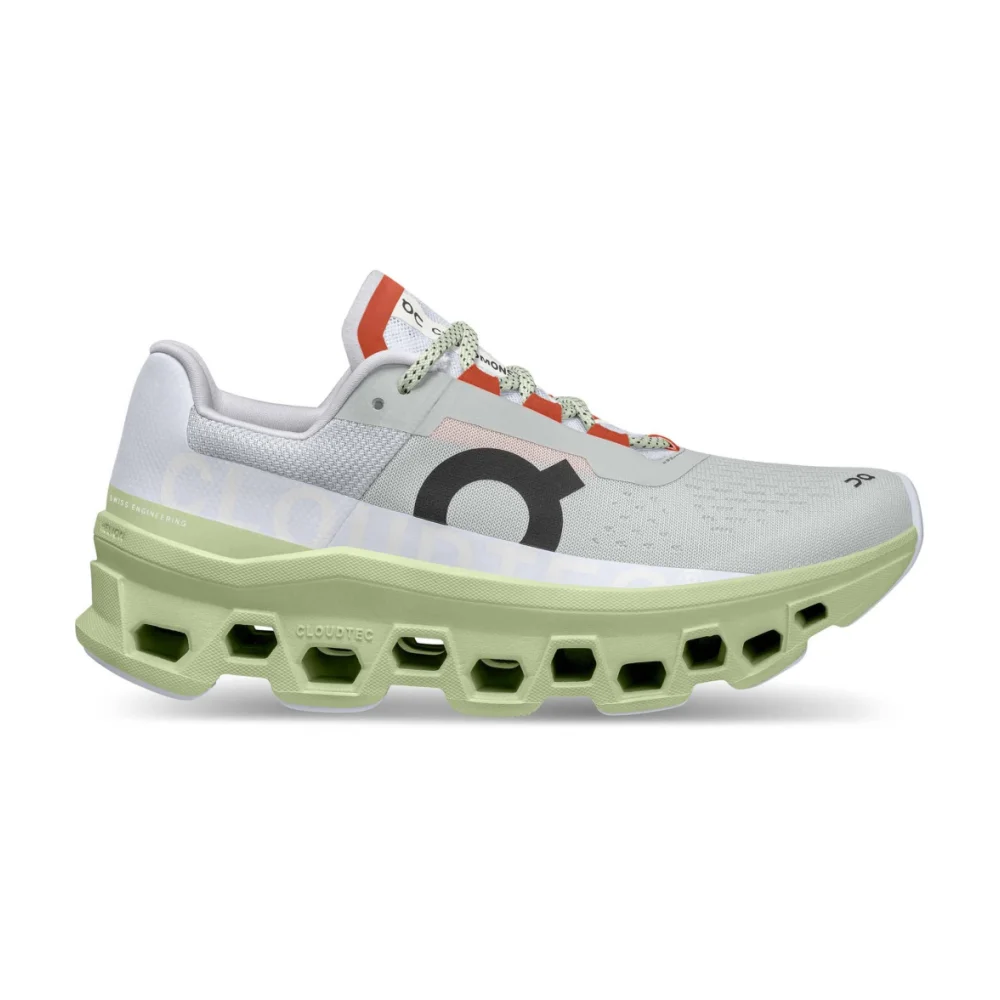 ON Cloudmonster 6199022 / grau
