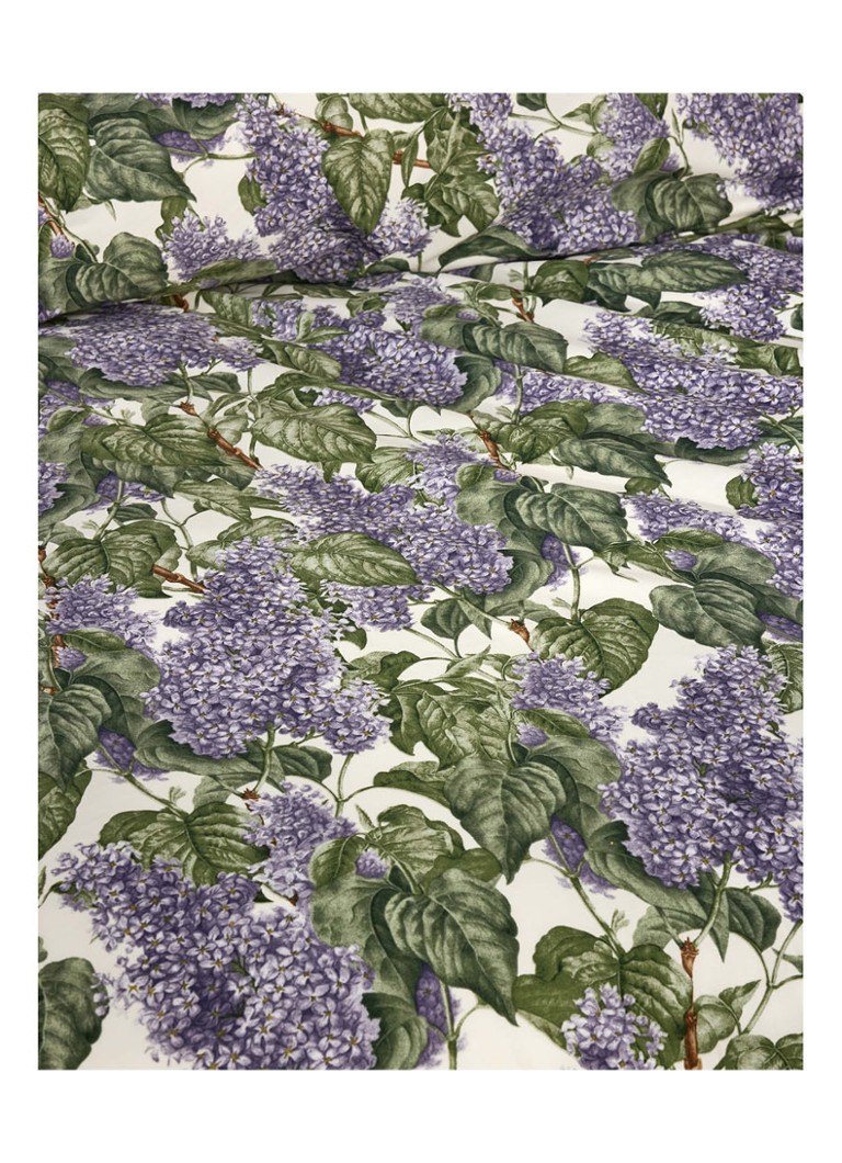 Μαξιλαροθήκη Essenza Dirce 200TC Cotton Percale