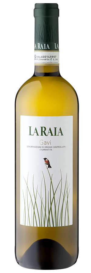 Gavi (Bio) 2022