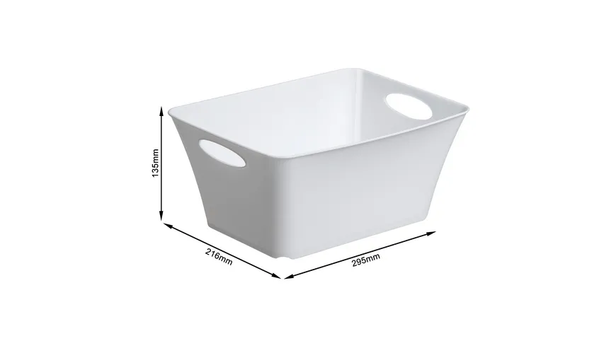 rotho Aufbewahrungsbox Livingbox 5l weiß