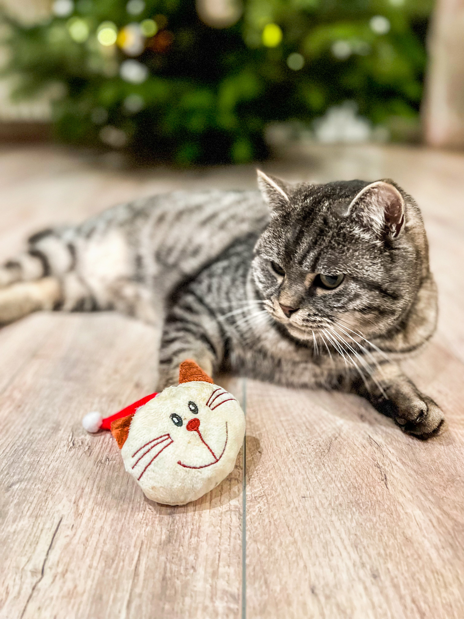 Aumüller Baldrian & Catnipspielzeug Aumüller Spielkissen Weihnachtswilly
