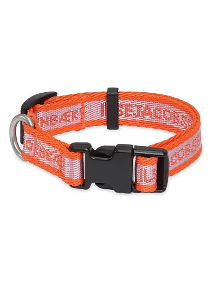 VOV & VUF Hundehalsband in Orange/ Lila günstig kaufen 28 cm