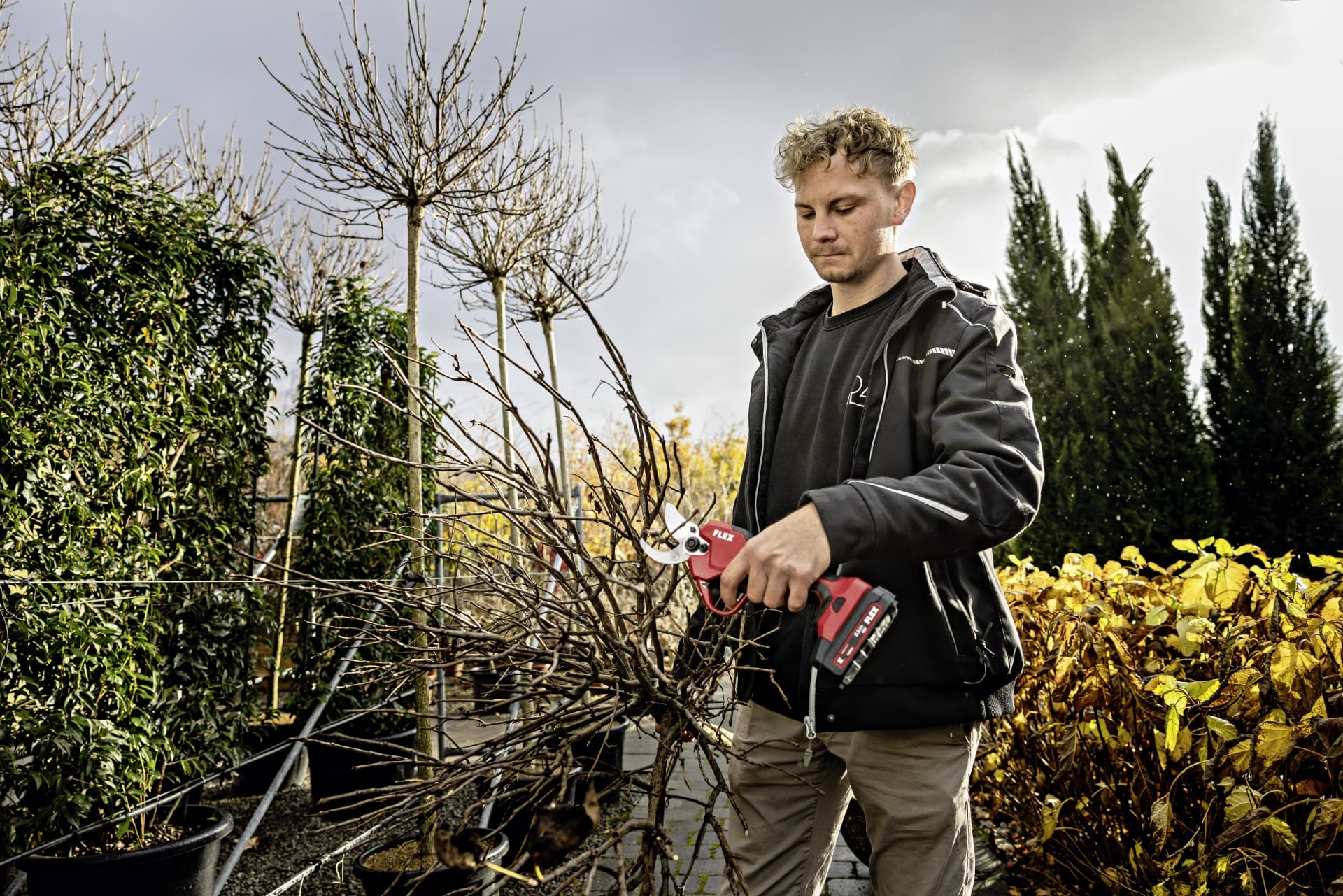 Flex-tools 535133 GPS 35 Cordless Pruning Shears 18V Set incl. 2x2.5 Ah and charger in box
