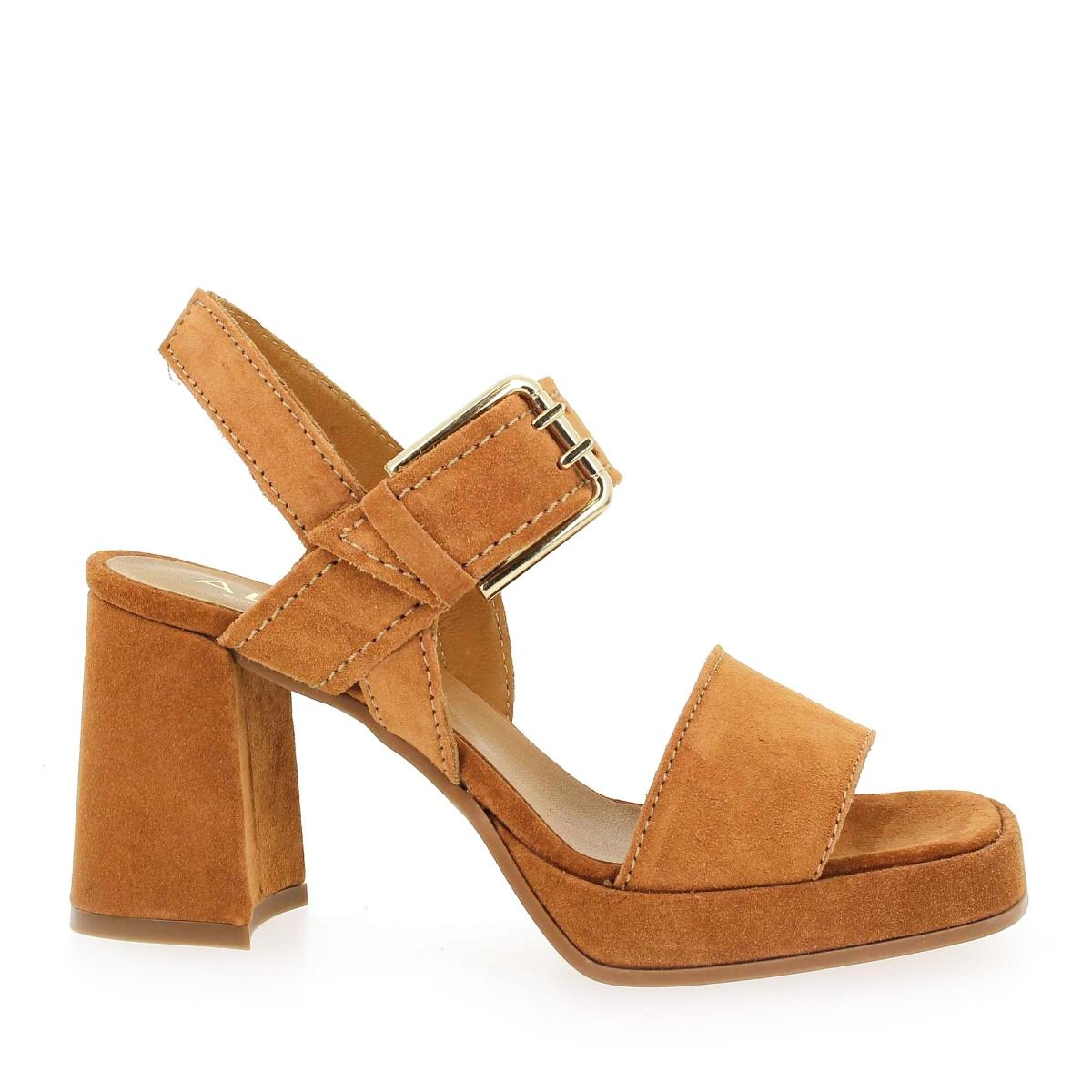 Alpe  2572 - Camel