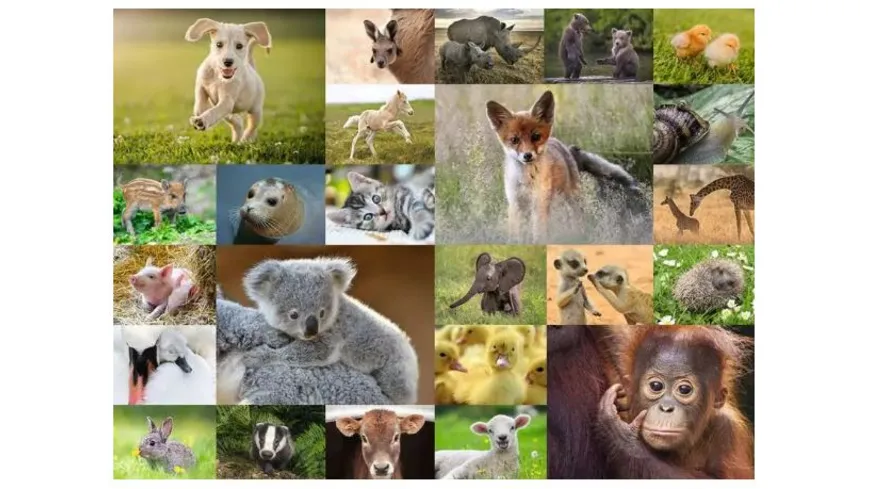 Ravensburger Puzzle - Süße Tierbabys, 200 Teile