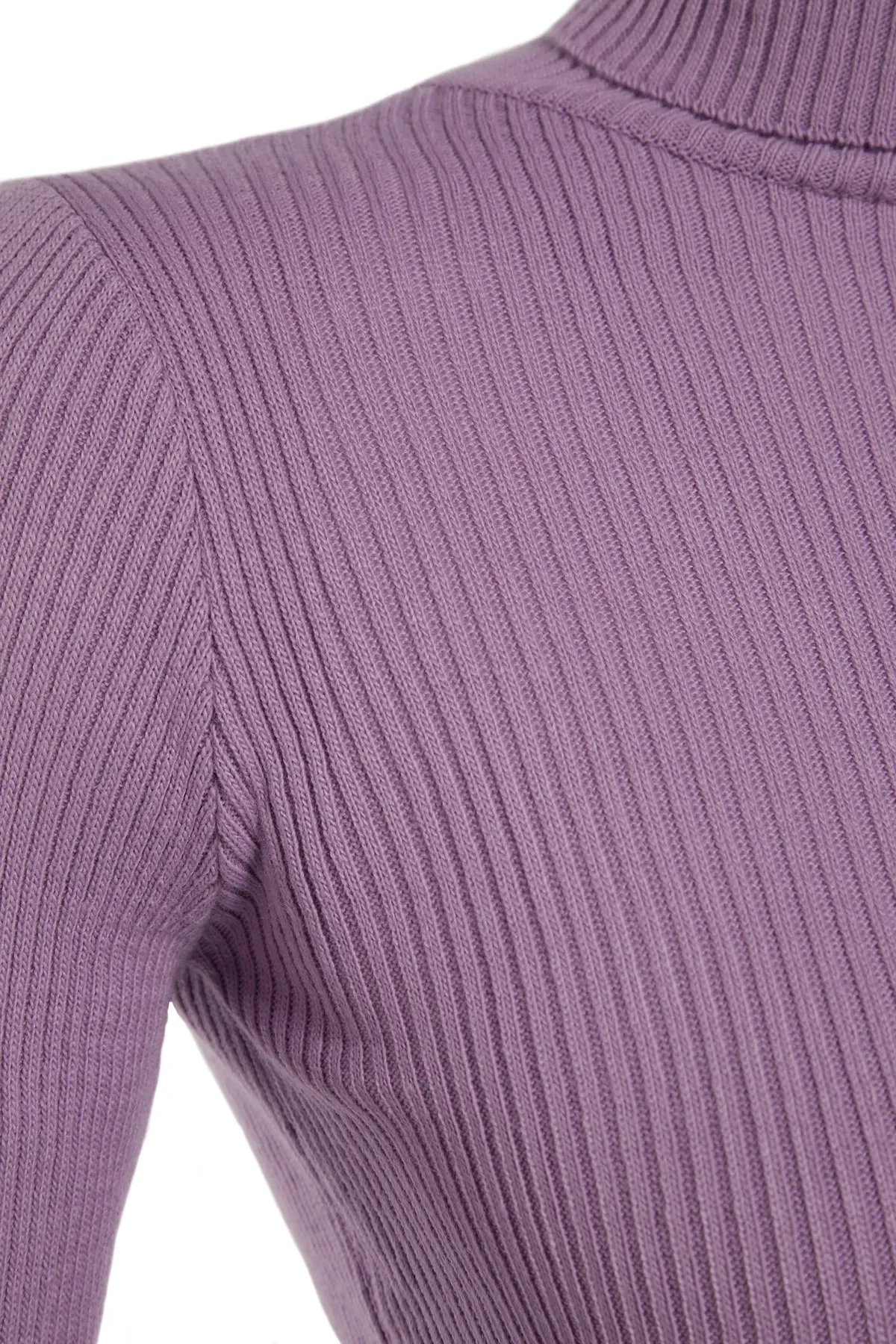 Trendyol Collection  Lilafarbener Basic-Rollkragenpullover TWOAW21KZ1279