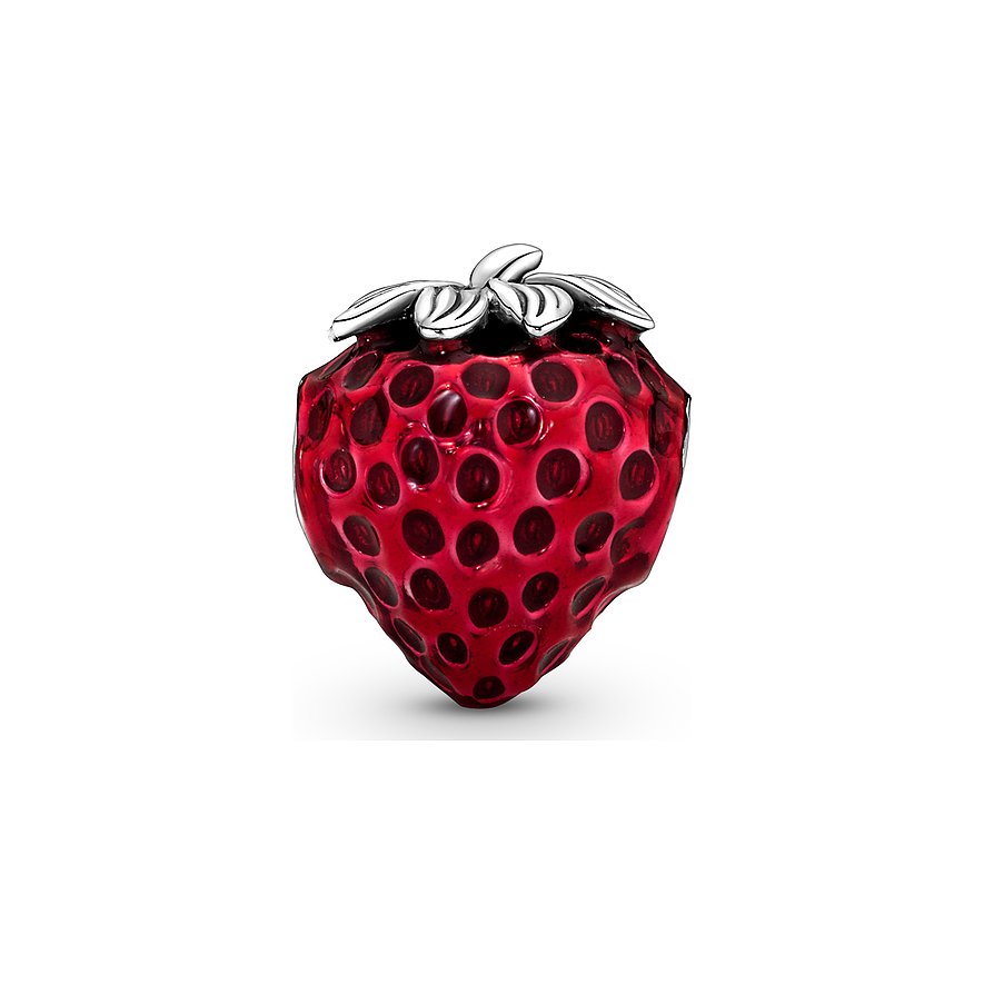 Pandora Charm Moments