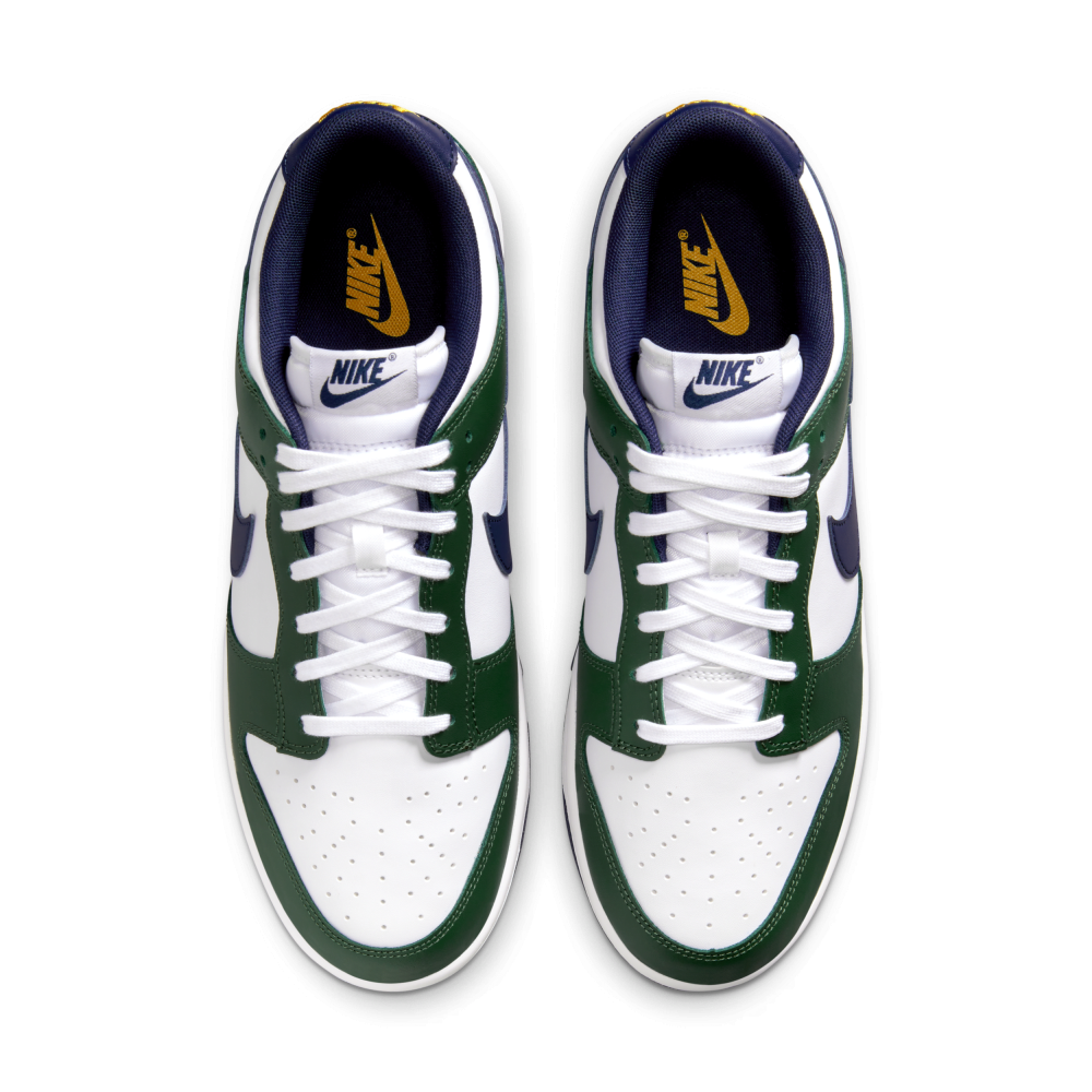 Nike Dunk Low FV6911-300 / blau