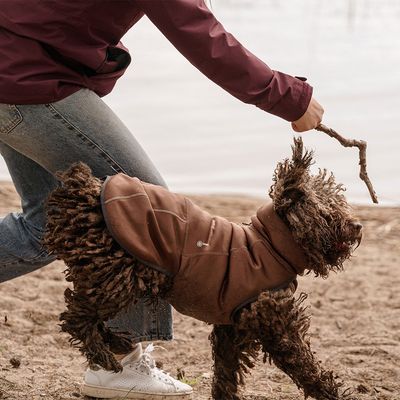 Hurtta Bare Softshell-Hundejacke Chocolate