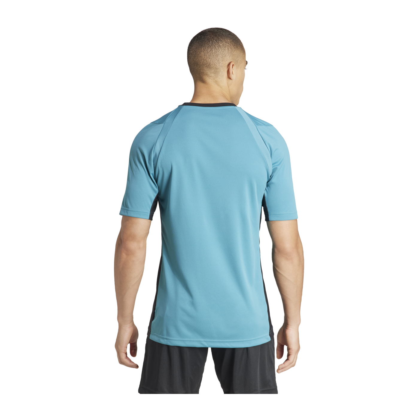 adidas Referee 24 Schiedsrichtertrikot Blau