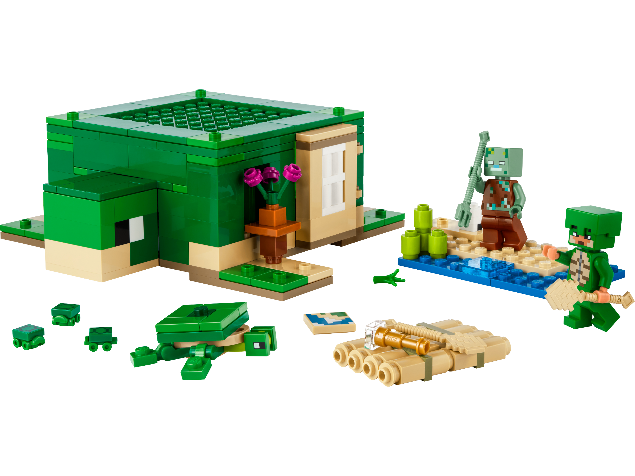Das Schildkrötenstrandhaus 21254