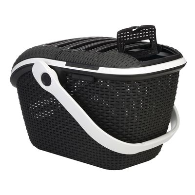 Curver Transport Box