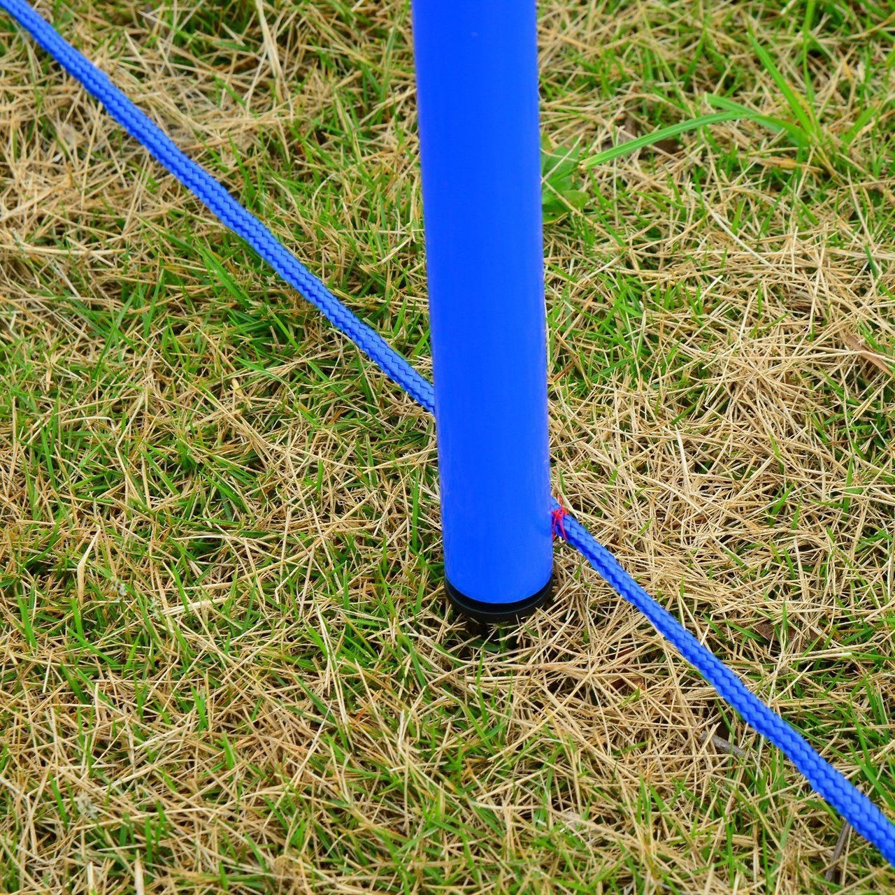 PawHut Agility-Übungs-Set Slalom-Hürden-Sprungring 3 in 1 Hundesport Trainingsplatz PE Blau Rot