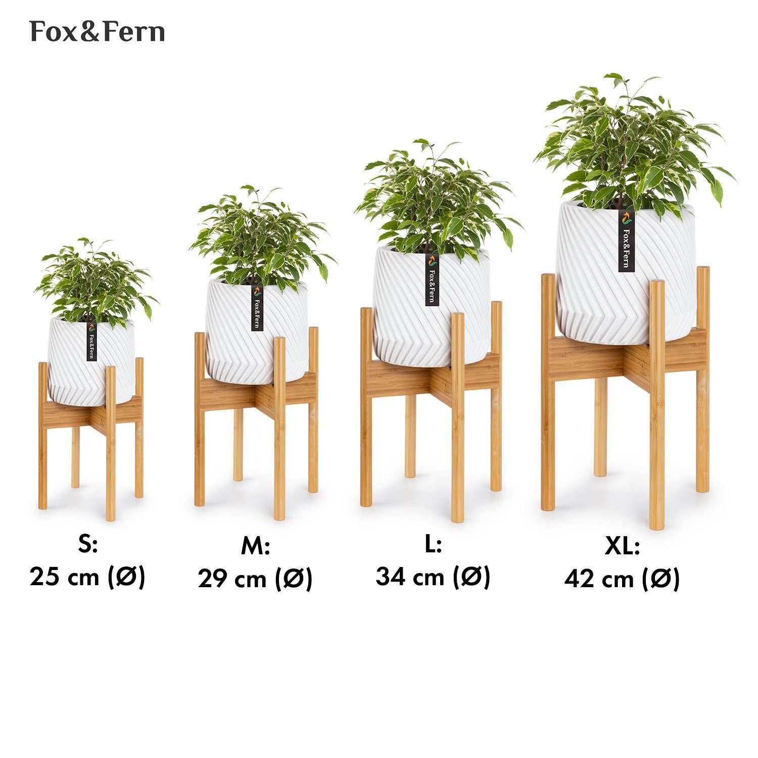 Fox & Fern Hochbeet Zeist