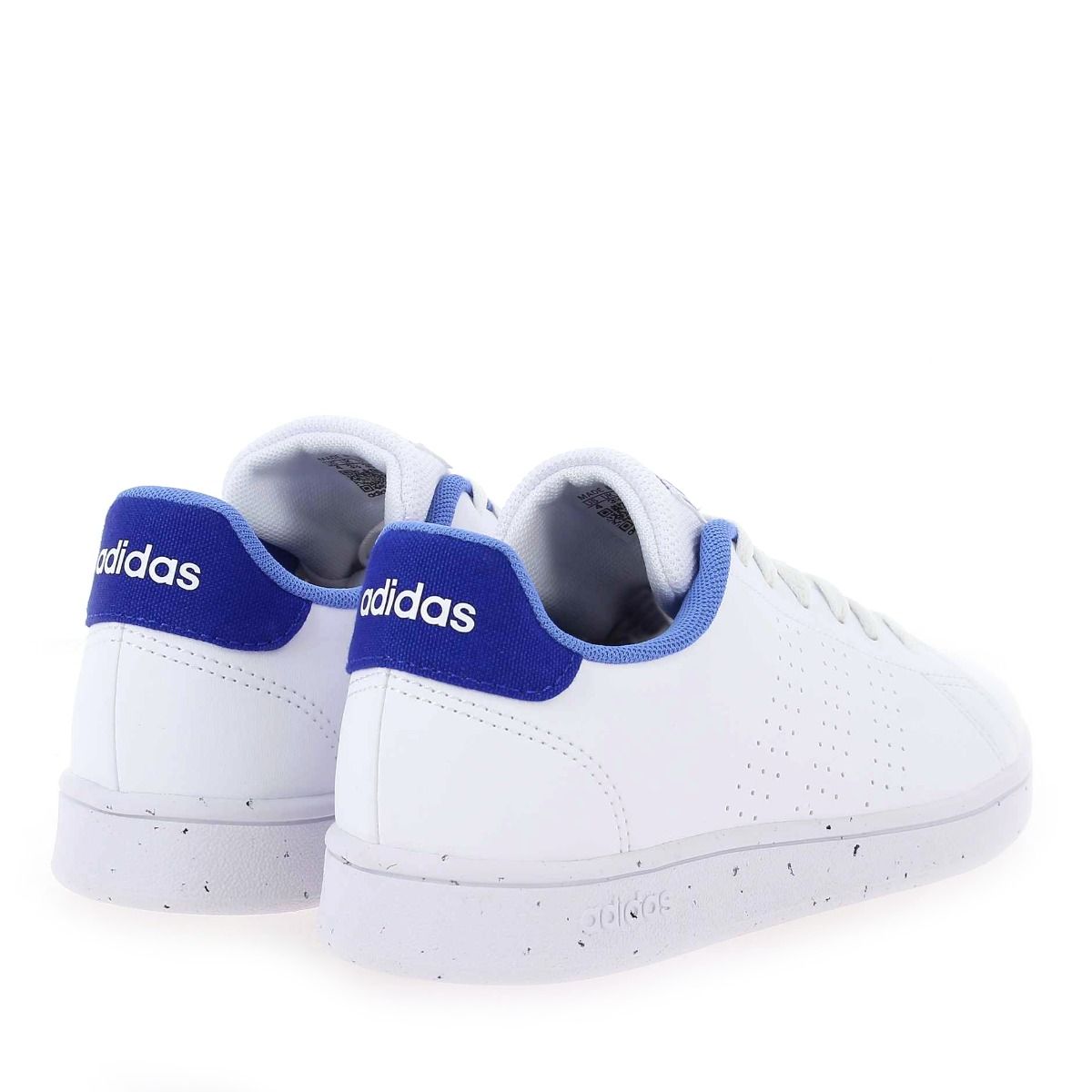 Adidas Originals  ADVANTAGE - Blanc Bleu
