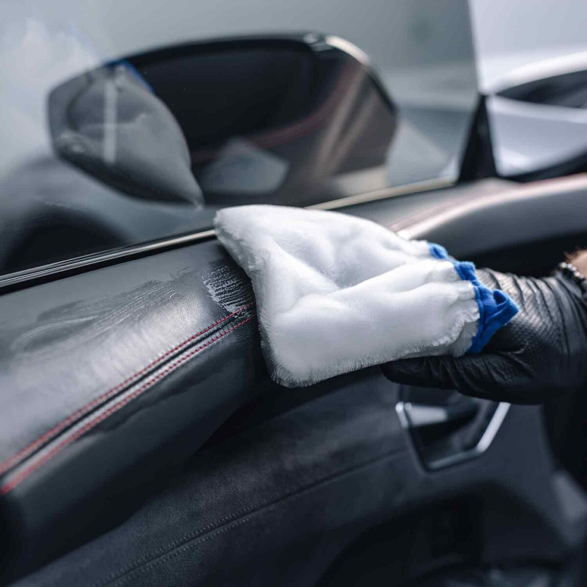 FX Interior Scrub Mitt Reinigungshandschuh